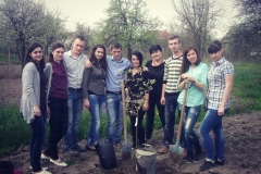 Salix_2013