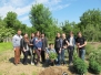 2016 Ginkgo 