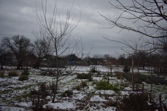 DSC_0187-