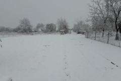 20210312_070825