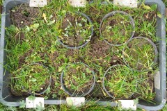 IMG_20230103_130726