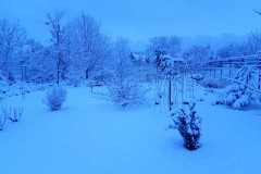 20220109_071557