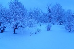 20220109_071601