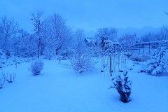 20220109_071604