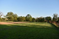 DSC_0764