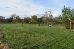 DSC_0766