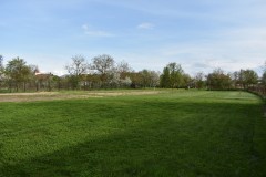 DSC_0773