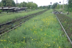 IMGP8207