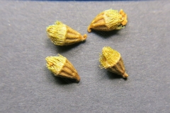 Agrimonia-japonica