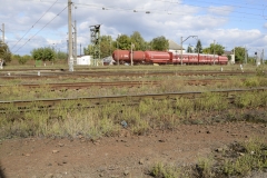 DSC6900