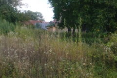 DSC01845