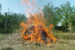 DSC01852