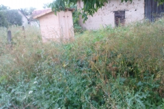 DSC01864