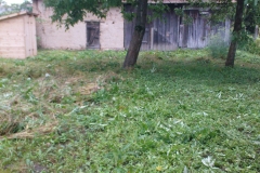 DSC01869