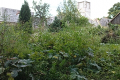 DSC01878