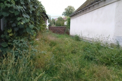 DSC01881
