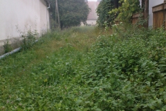 DSC01885