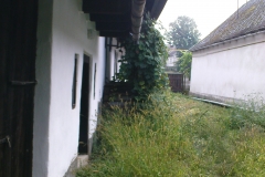 DSC01888