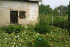 DSC01893