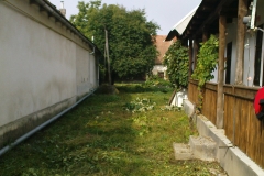 DSC01896
