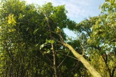 DSC01950