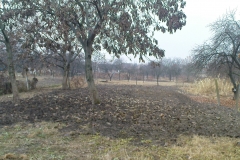 DSC02441
