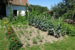 Konyhakert