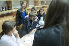IMG_8326