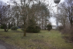 DSC_0553
