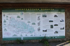 IMG_1377