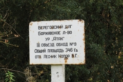 Kép 147