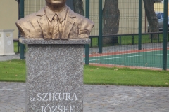 IMGP3433
